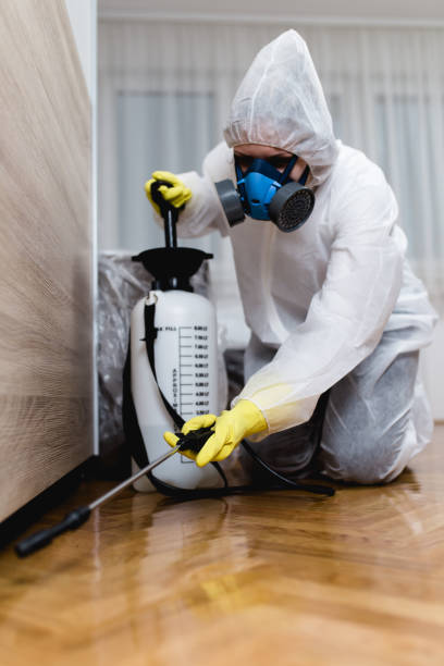 Best Residential Pest Control  in Delavan, IL